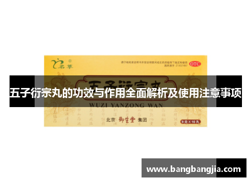五子衍宗丸的功效与作用全面解析及使用注意事项